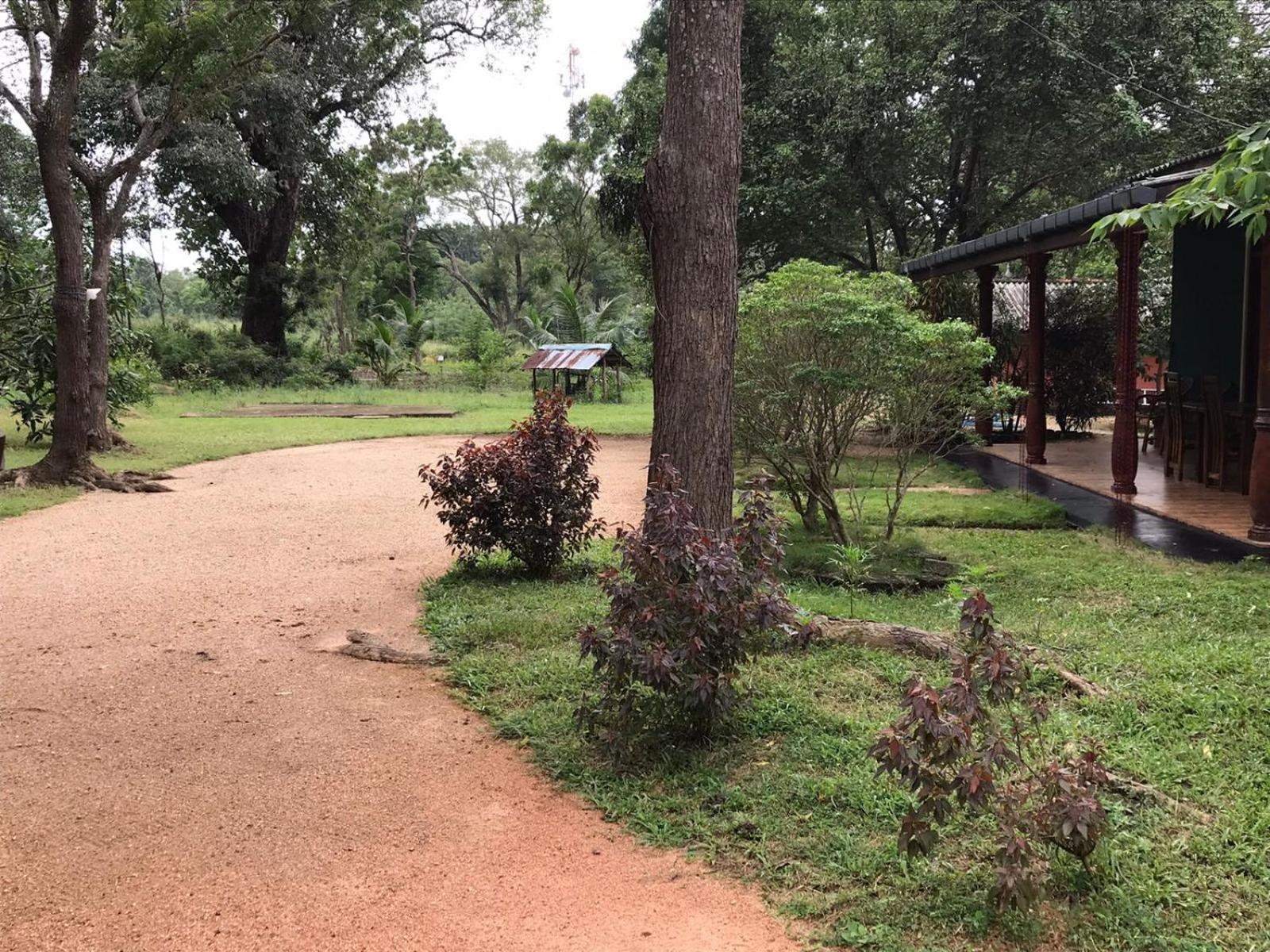 Greenwood Hotel Sigiriya Luaran gambar