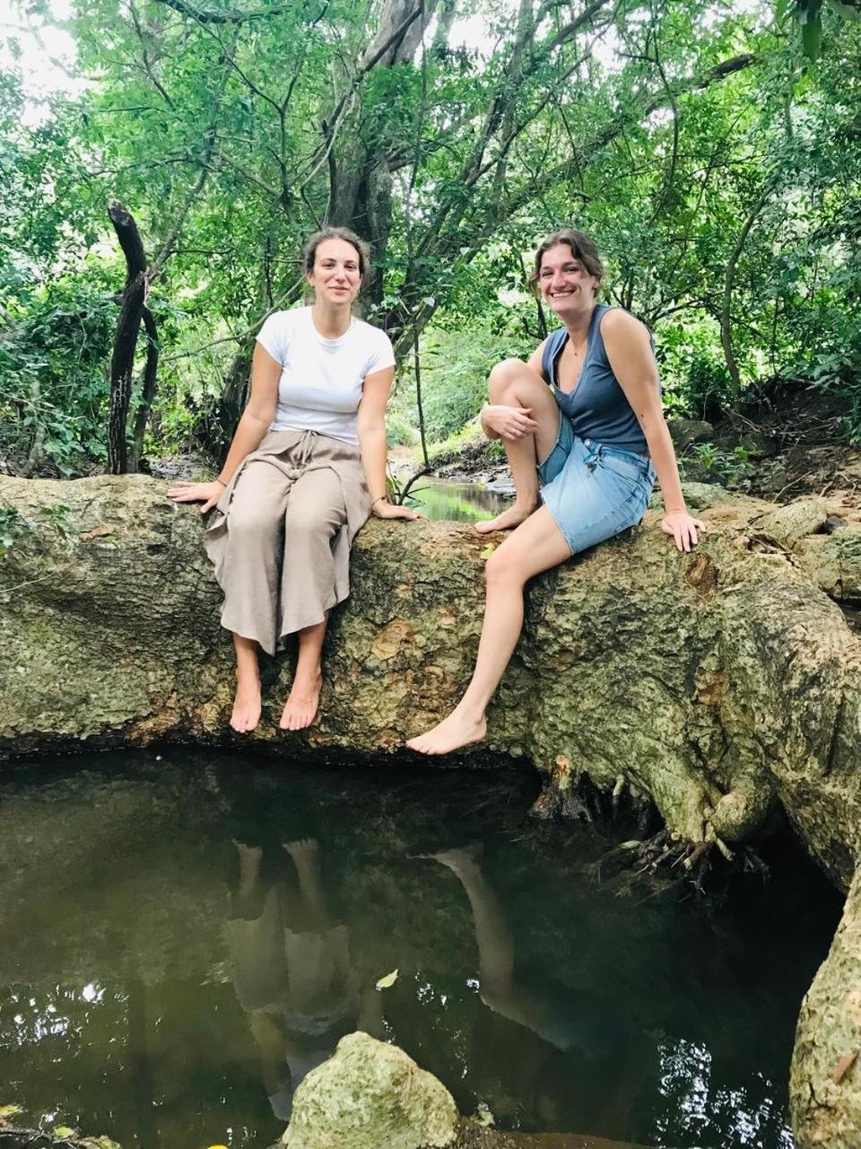 Greenwood Hotel Sigiriya Luaran gambar